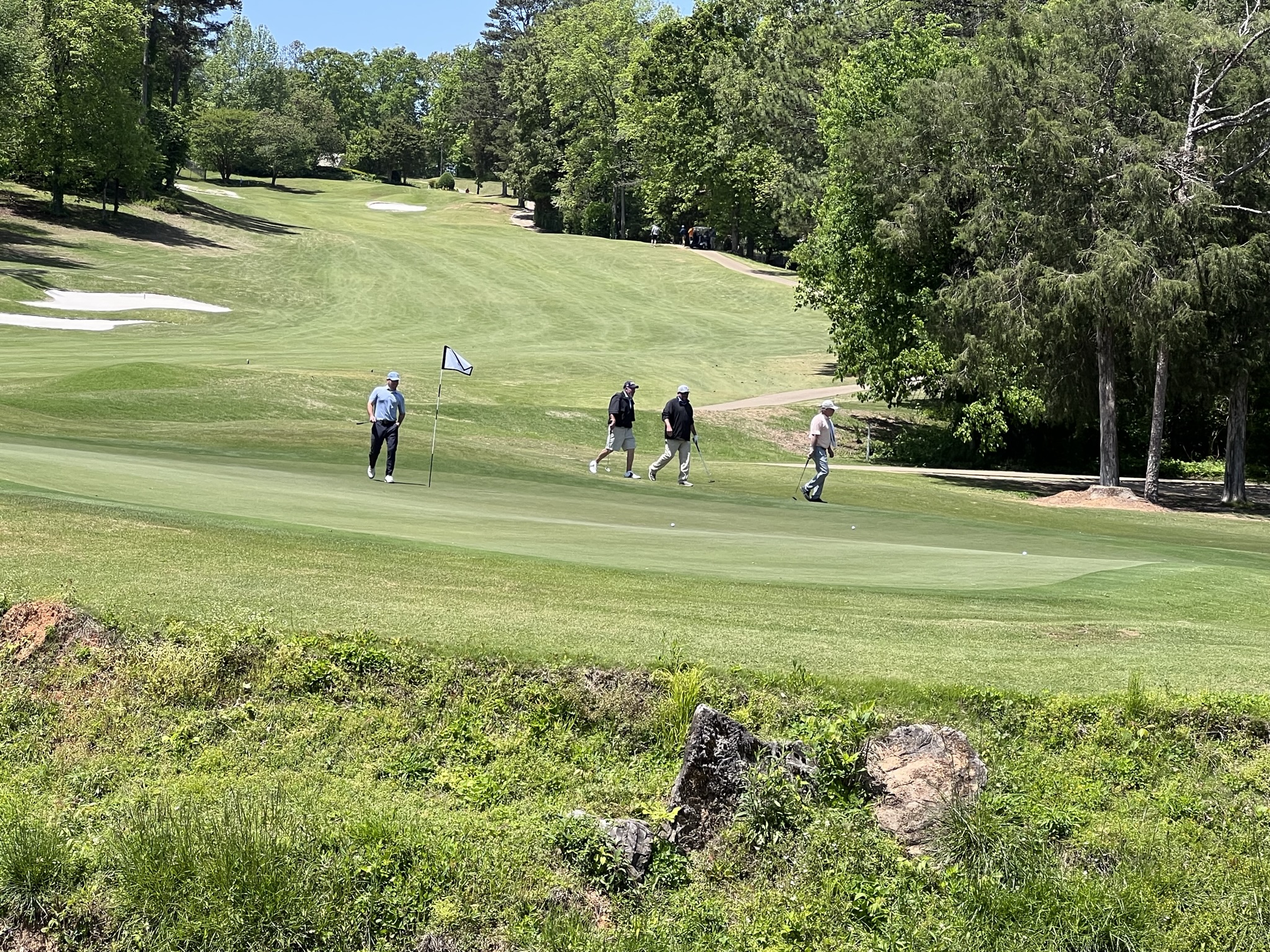 Four people playing golf on a sunny day on a lush green course.